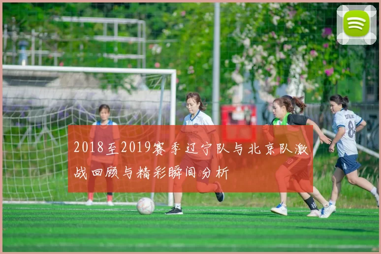 2018至2019赛季辽宁队与北京队激战回顾与精彩瞬间分析