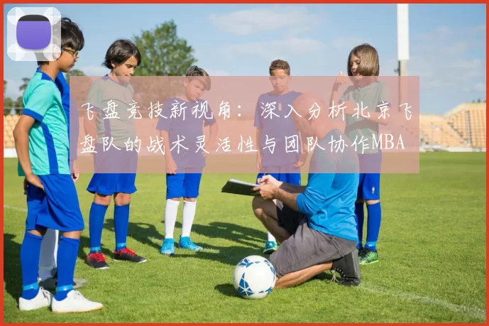飞盘竞技新视角：深入分析北京飞盘队的战术灵活性与团队协作MBA