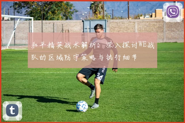 和平精英战术解析：深入探讨WE战队的区域防守策略与执行细节