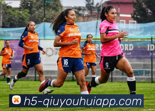 球友会官网平台生态图